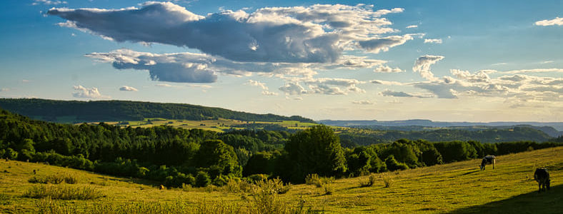 Wandern im Saarland: Entdecke die Naturschätze auf Schritt und Tritt