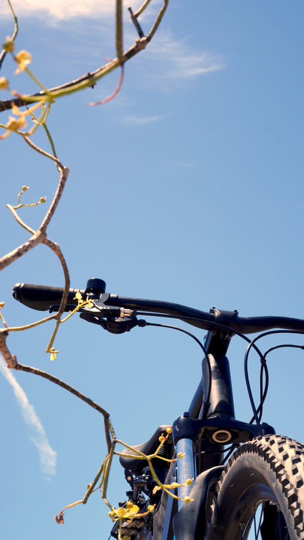 5 Fahrrad-Touren im Saarland